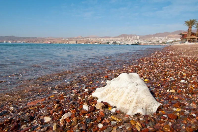 Leonardo Plaza Hotel Eilat
